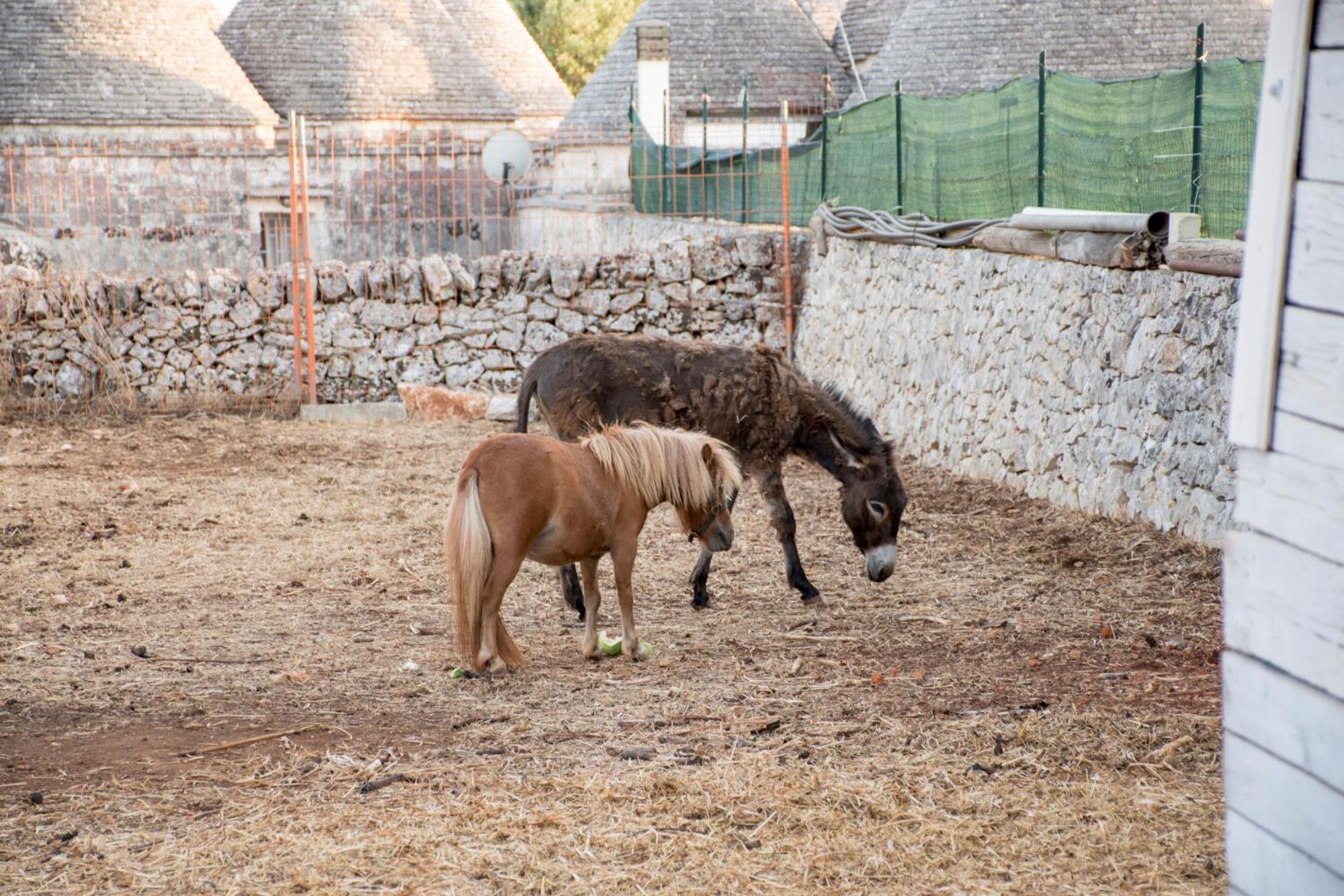 Trullo Cinquenoci Suite Locorotondo Luaran gambar